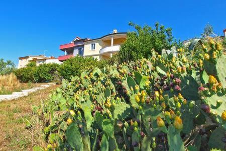 Villa Lucija Πούλα Εξωτερικό φωτογραφία